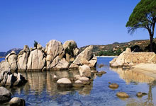 雷火电竞官方-关于西班牙强势加拿大，莱万完成帽子戏法的信息