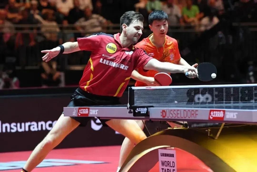 法国乒乓球队血洗奥地利乒乓球队，波尔送出助攻的简单介绍