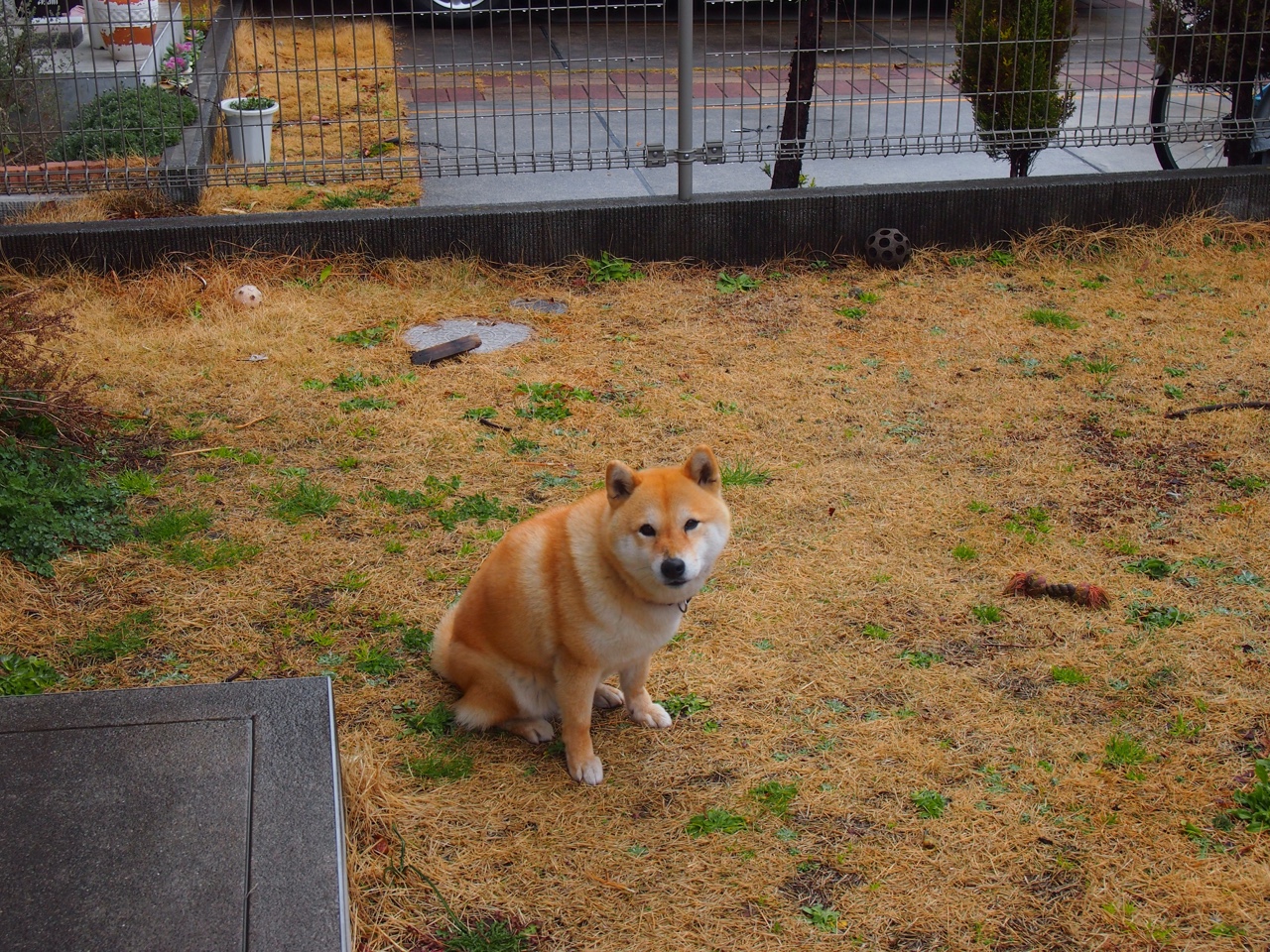 卢卡库关键时刻站出来，芬兰冲垮瑞士—欧洲杯赛场上的冰与火之歌