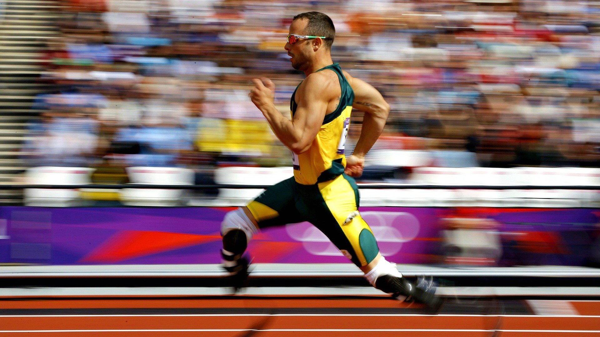 绝境中的王者，穆雷澳网险胜启示录，率队年终总决赛逆袭夺冠