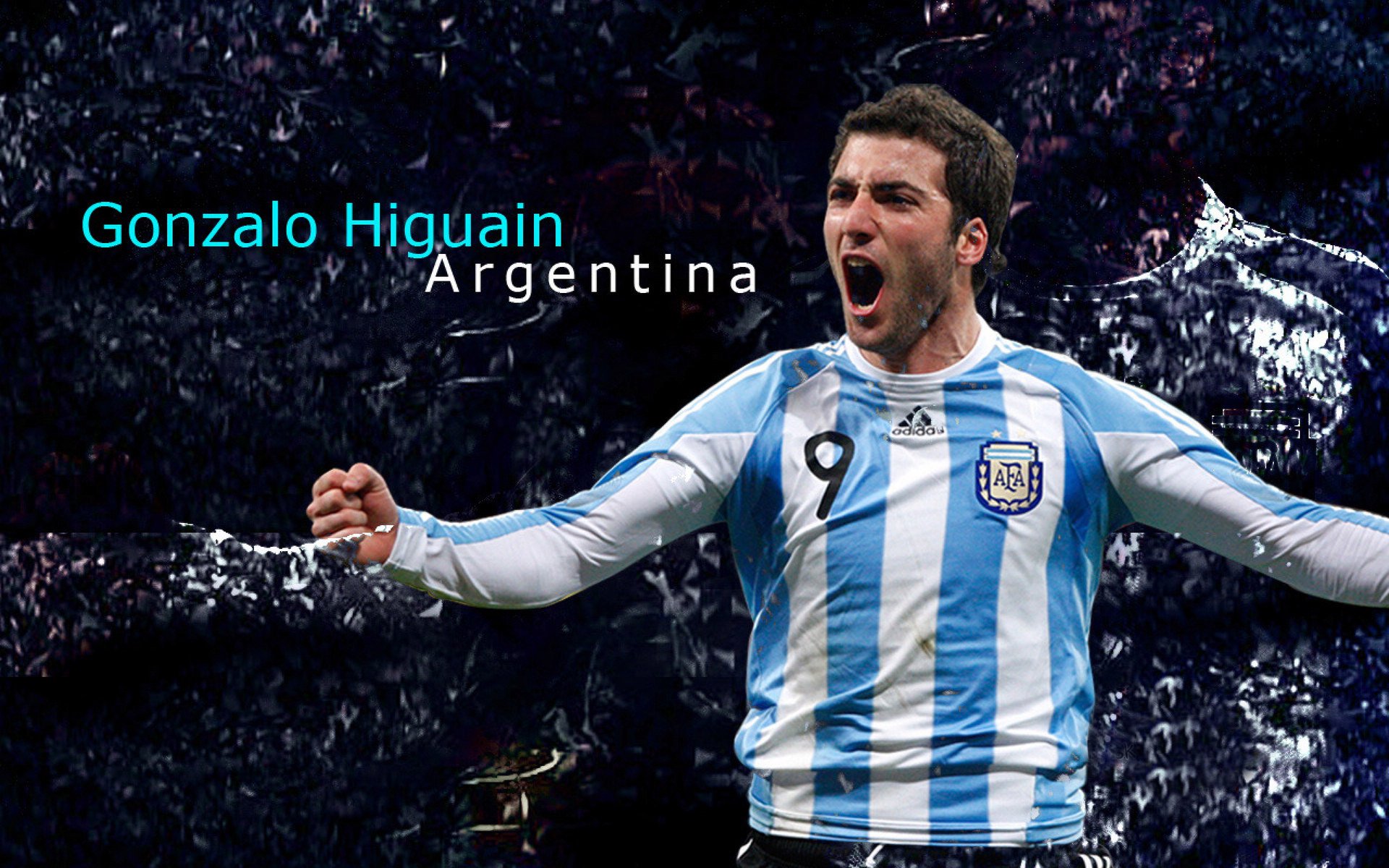 德约科维奇美网完胜法网，状态火热的王者如何征服硬地赛季